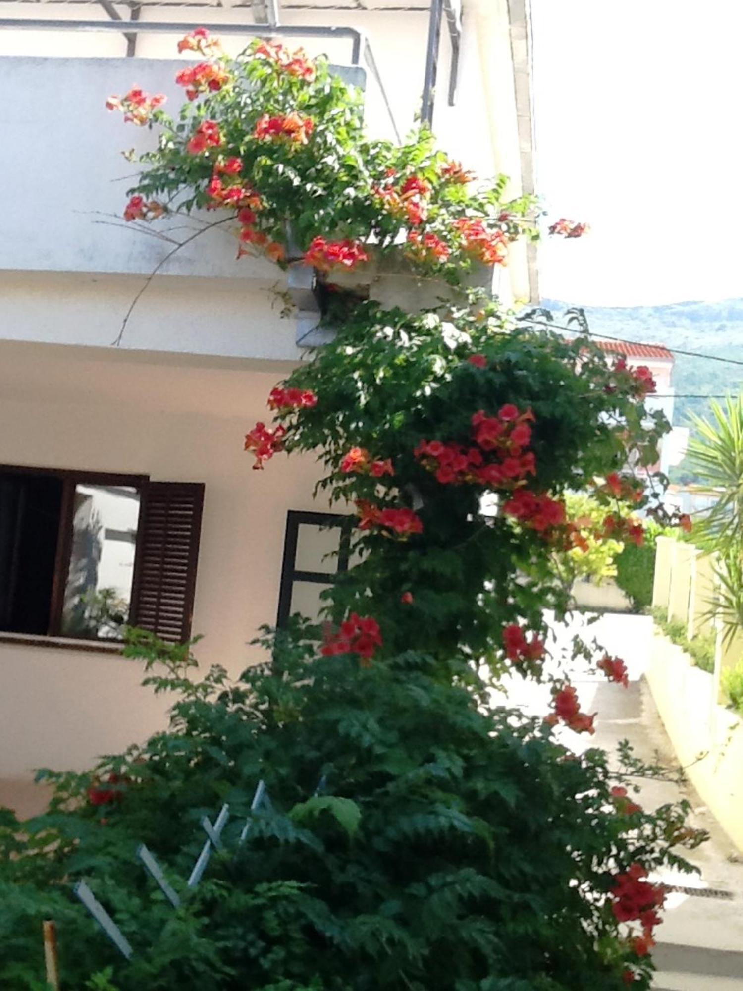 Villa Tamaris On The Beach Ποντστράνα Δωμάτιο φωτογραφία